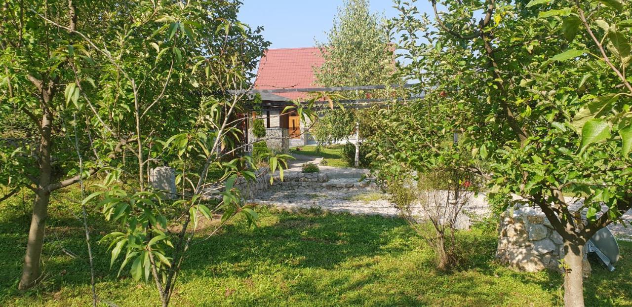 Garden Lohovo Hébergement de vacances *