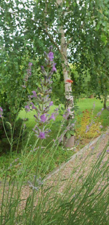 Garden Lohovo Bihać
