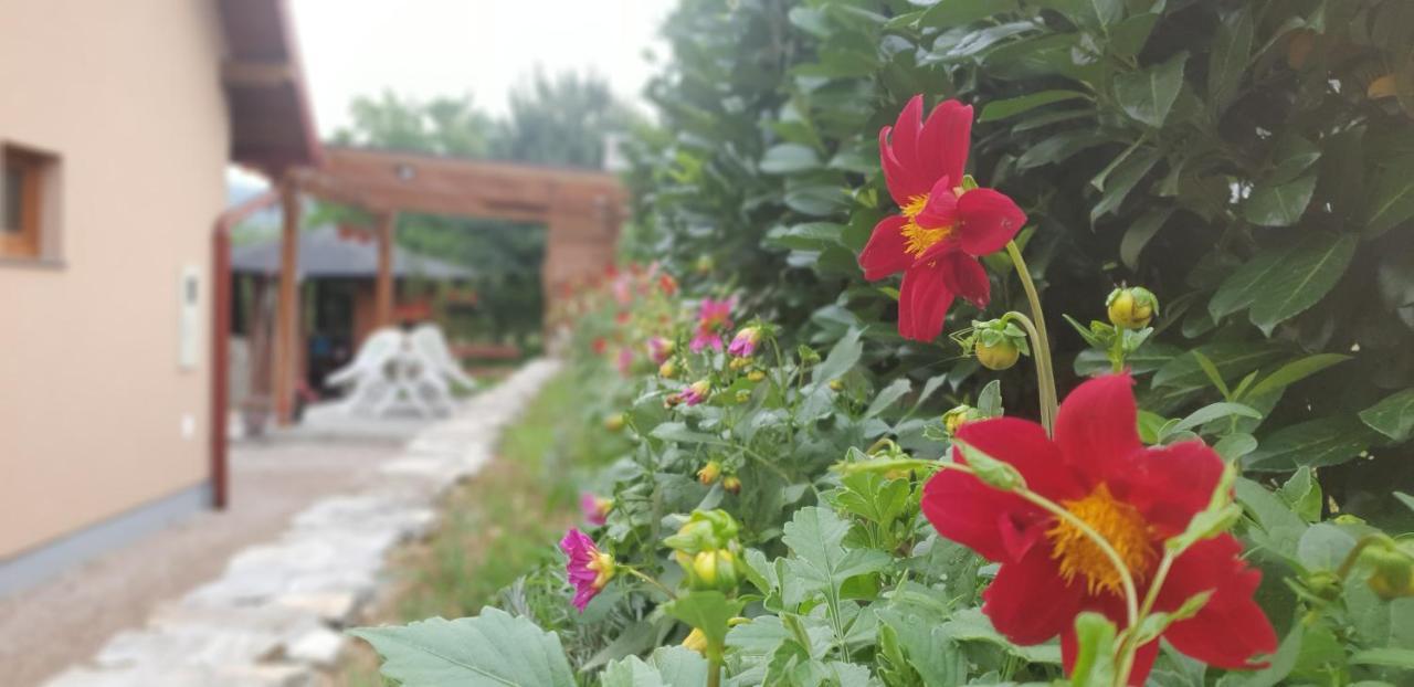 Garden Lohovo * Bihać